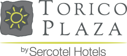 Hotel Torico Plaza***